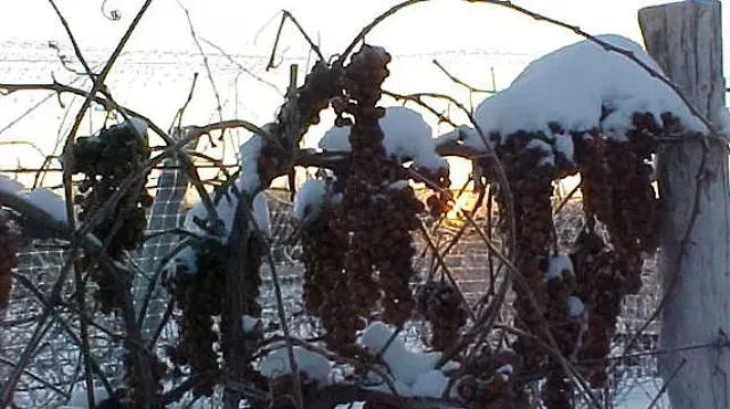 Image: 12th Annual Ice Wine Festival