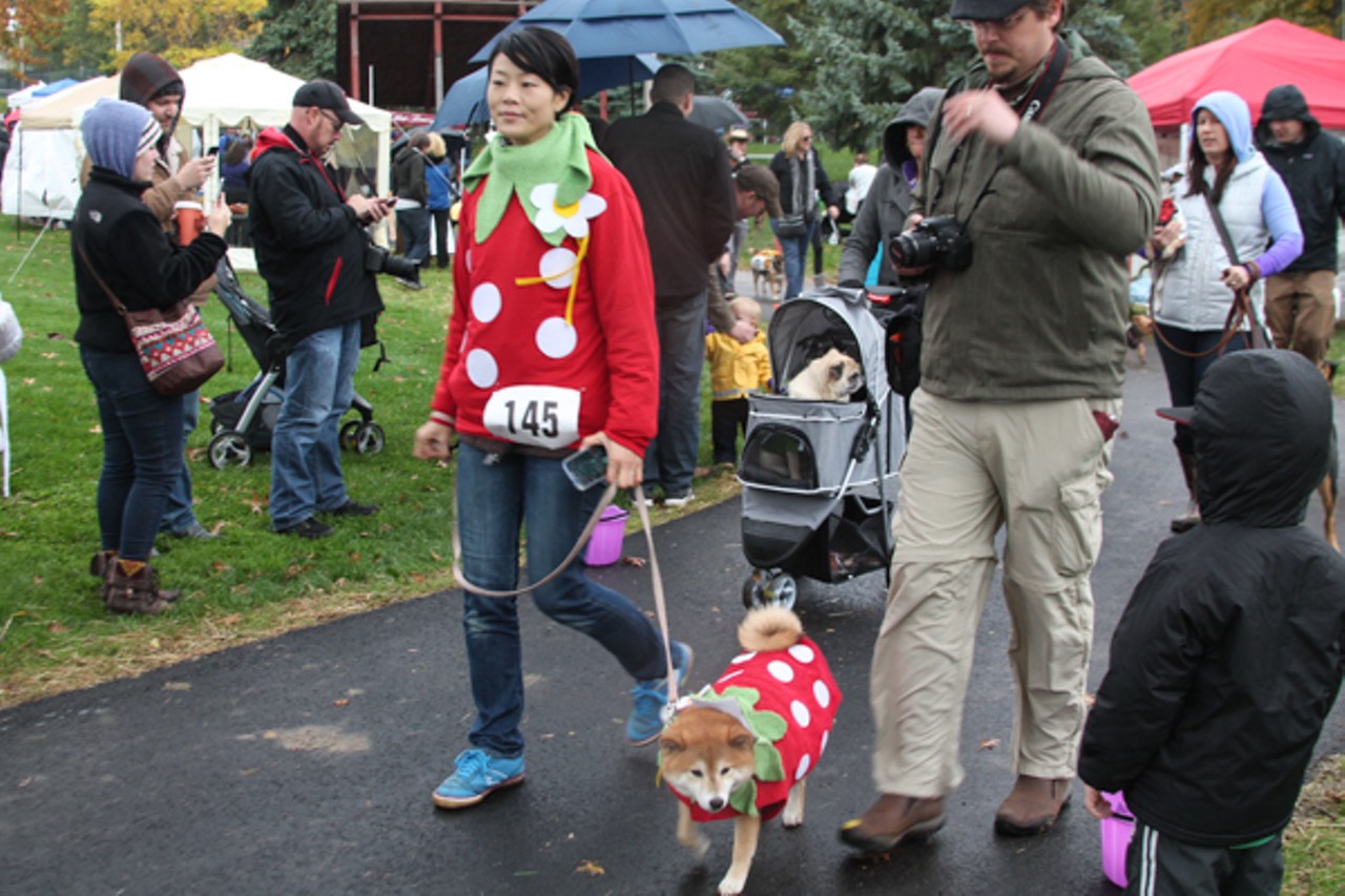 15 Photos from the Spooky Pooch Parade at Kauffman Park in Lakewood