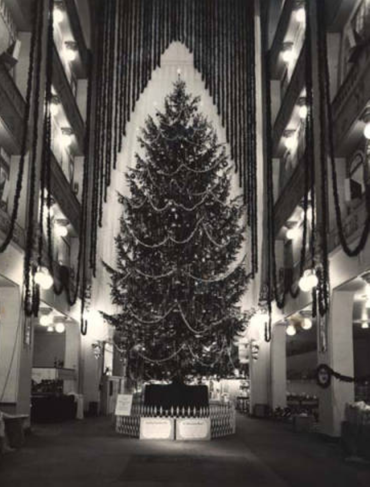 1960: Christmas tree in main lobby, Sterling-Lindner-Davis.