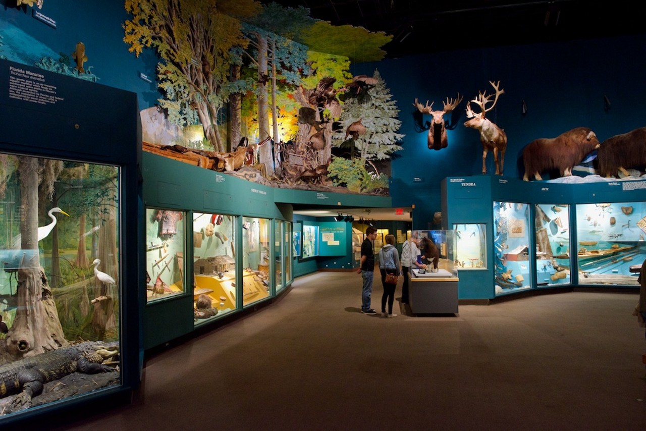 20 Photos from Our Recent Trip to the Cleveland Museum of Natural History