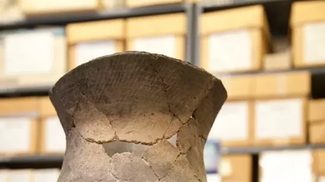 Image: Archaeology & Earth Science Day