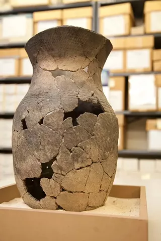 Image: Archaeology & Earth Science Day