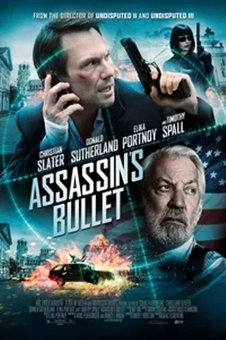 Image: Assassin's Bullet