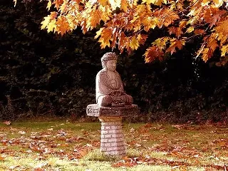 Image: Autumn Equinox 108 Sun Salutations