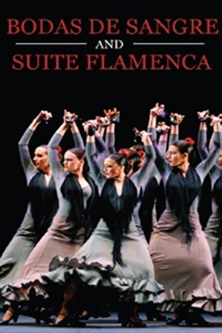 Bodas de Sangre and Suite Flamenca from Teatro Real, Madrid