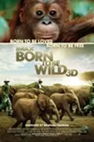 Image: Born To Be Wild IMAX 3D