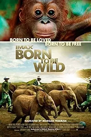 Image: Born To Be Wild IMAX
