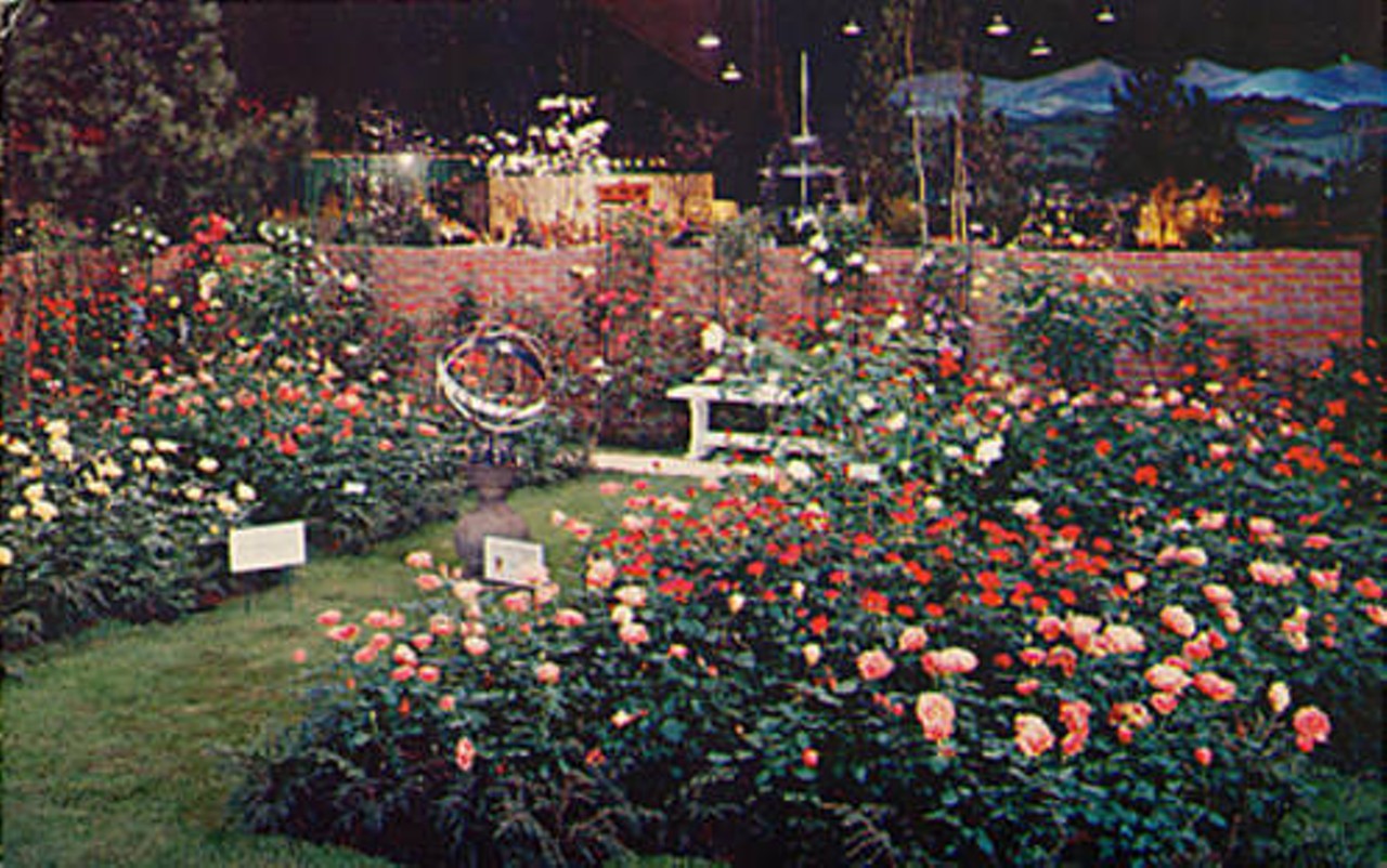 Cleveland Home and Flower Show rose exhibit, circa 1970