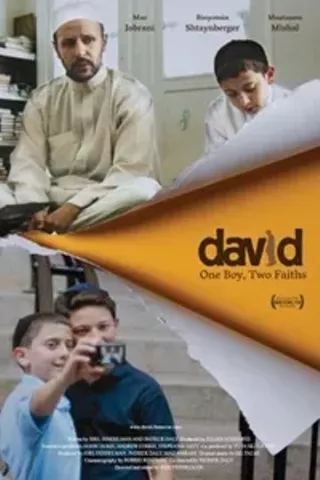 Image: David (2011)