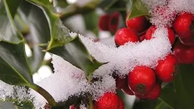 Image: Dinner in the Valley: Olde English Yuletide Celebration