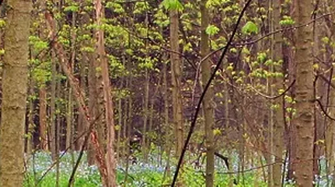 Image: Dinner in the Valley: Sl&aacute;inte!
