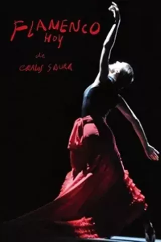 Image: Flamenco Hoy