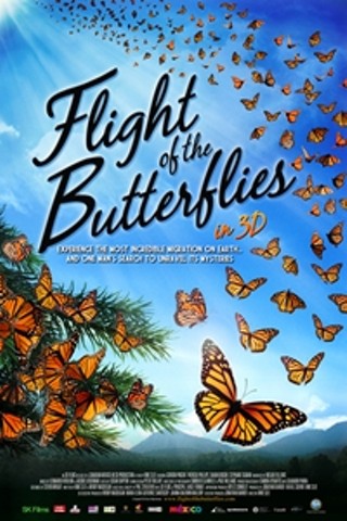 Flight of the Butterflies in 3D