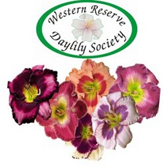 Hybrid daylily collector plants available!