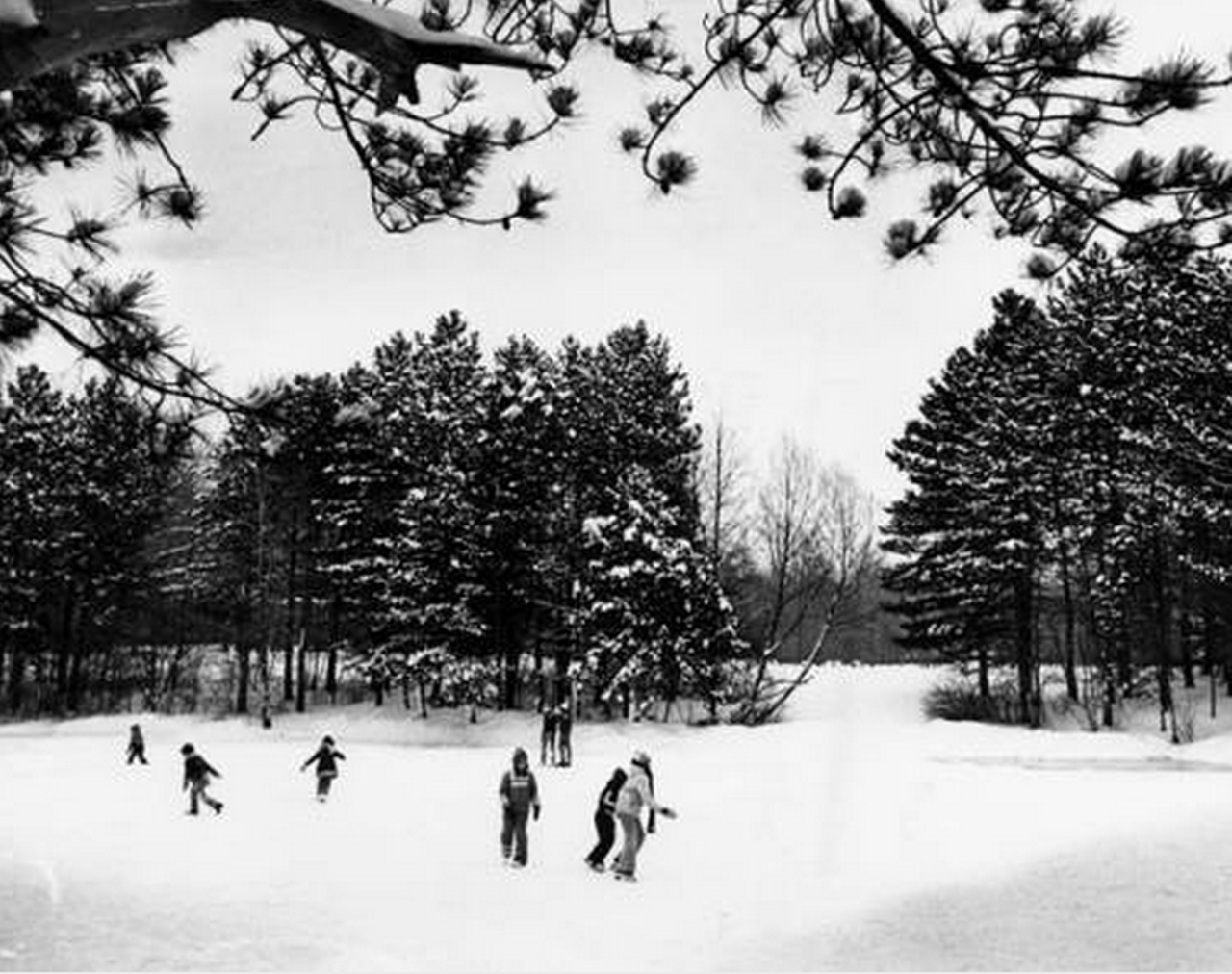 Ice skating on Strawberry Lane Pond in the North Chagrin Reservation, 1978.