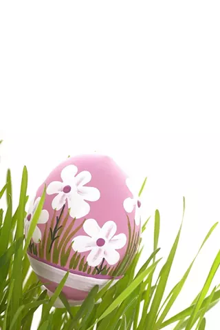 Image: Lunch with the Easter Bunny