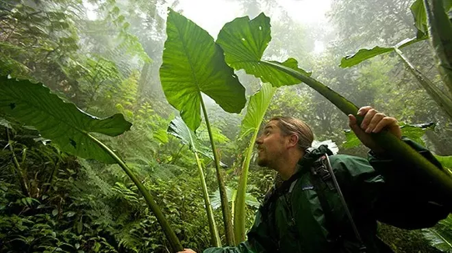 Image: Lyceum Distinguished Speaker Series: Birds of Paradise
