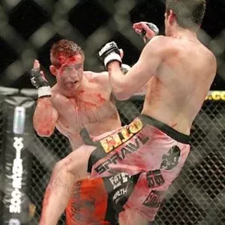 Image: MMA in Parma
