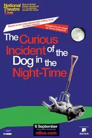 Image: National Theatre Live: The Curious Incident of the Dog in the Night-Time