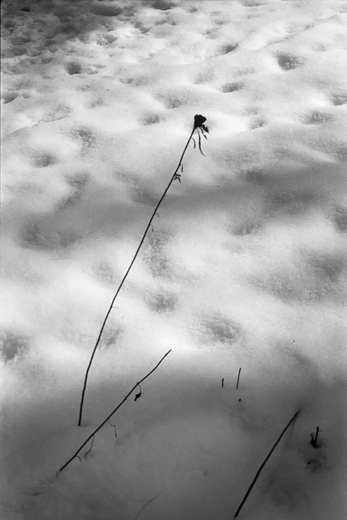 Image: On View This Week