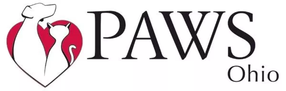 paws.webp