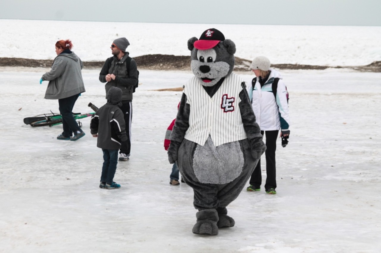 Photos from the Annual Cleveland Arctic Plunge at Edgewater Park