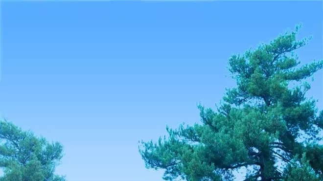 Image: Remember the Pines