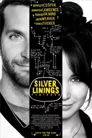 Image: Silver Linings Playbook