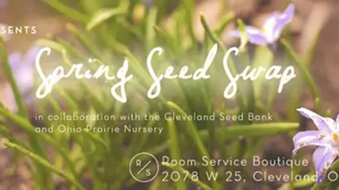 Image: Spring Seed Swap