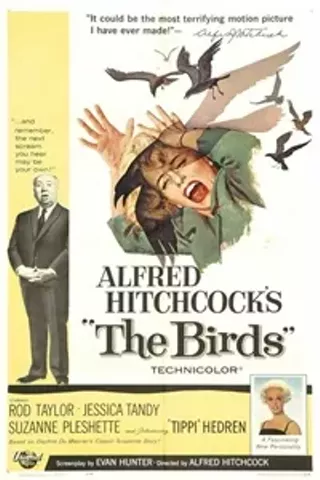 Image: TCM Presents The Birds