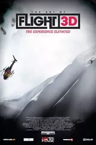 Image: The Art of Flight 3D