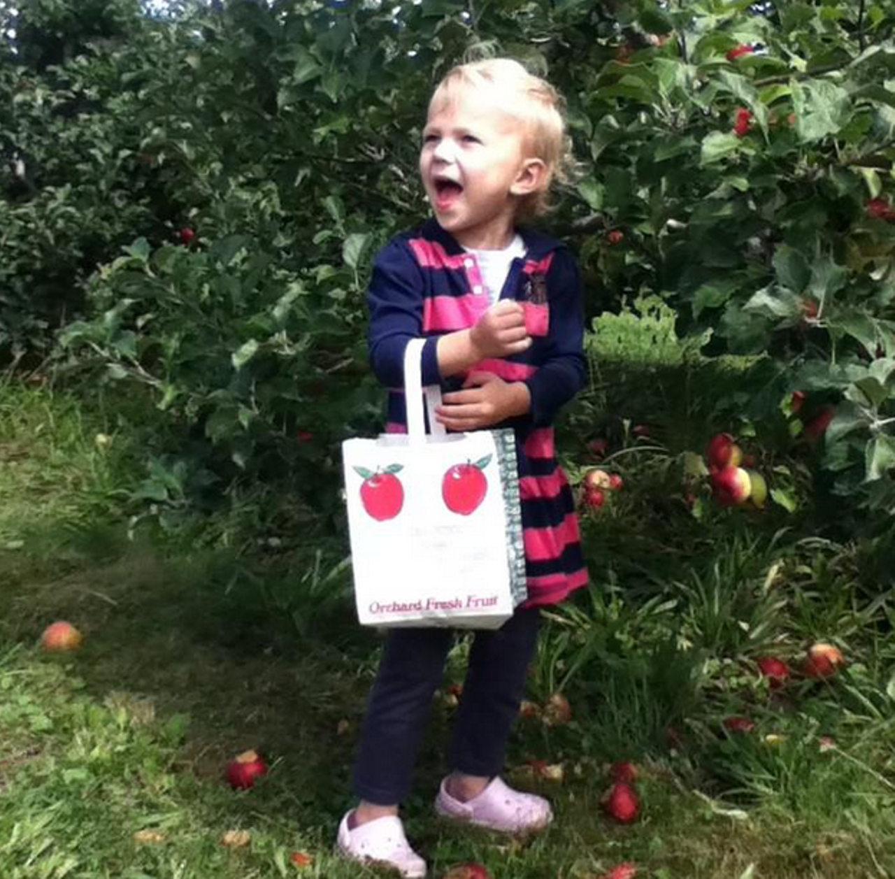 The former Pioneer Trail Orchard changed its name a few years back but continues to offer 23 varieties of apples (you can pick them yourself on weekends through October), plus Bartlett pears, red raspberries and cider pressed on site. Stop in at 6313 Pioneer Trail, Hiram, 330.569.7464.