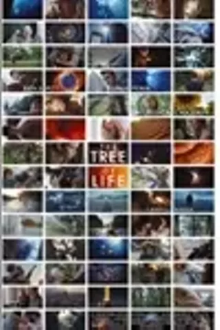 Image: The Tree of Life
