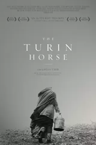 Image: The Turin Horse (A torinoi lo)