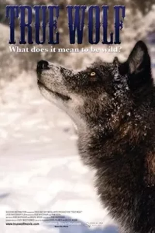 Image: True Wolf