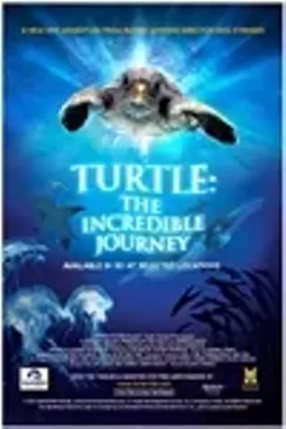 Image: Turtle: The Incredible Journey 3D