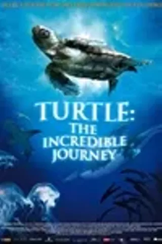 Image: Turtle: The Incredible Journey