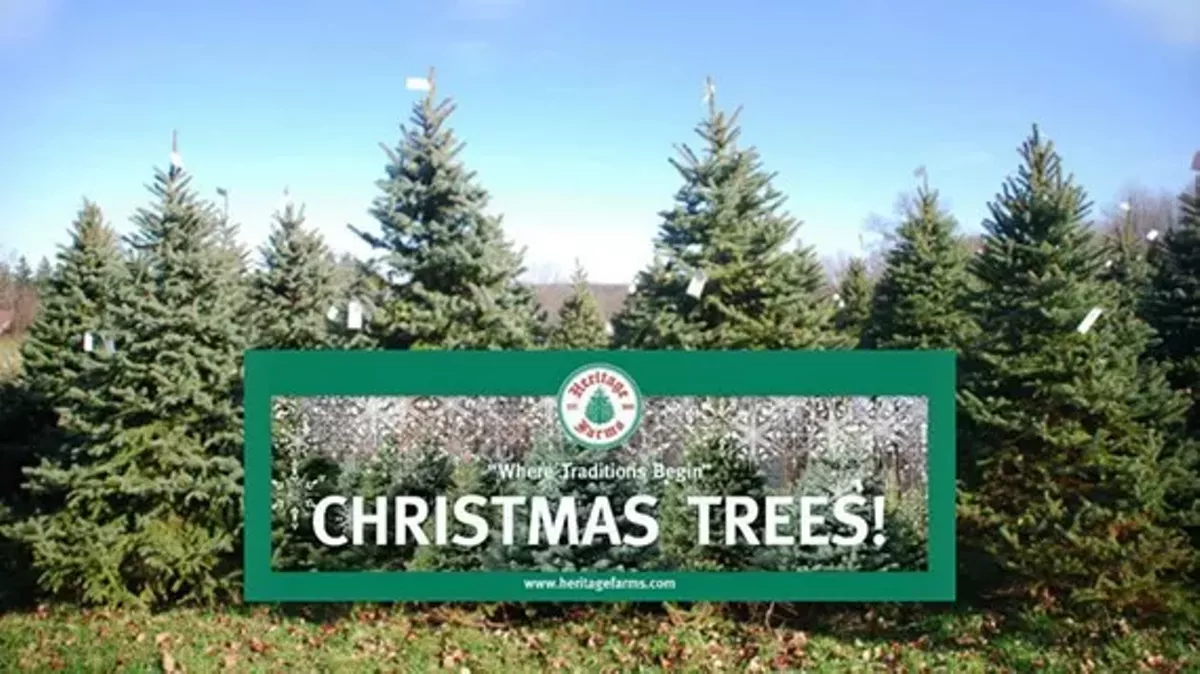 c535f4b4_christmas_trees_and_banner_heritage_farms_peninsula.webp