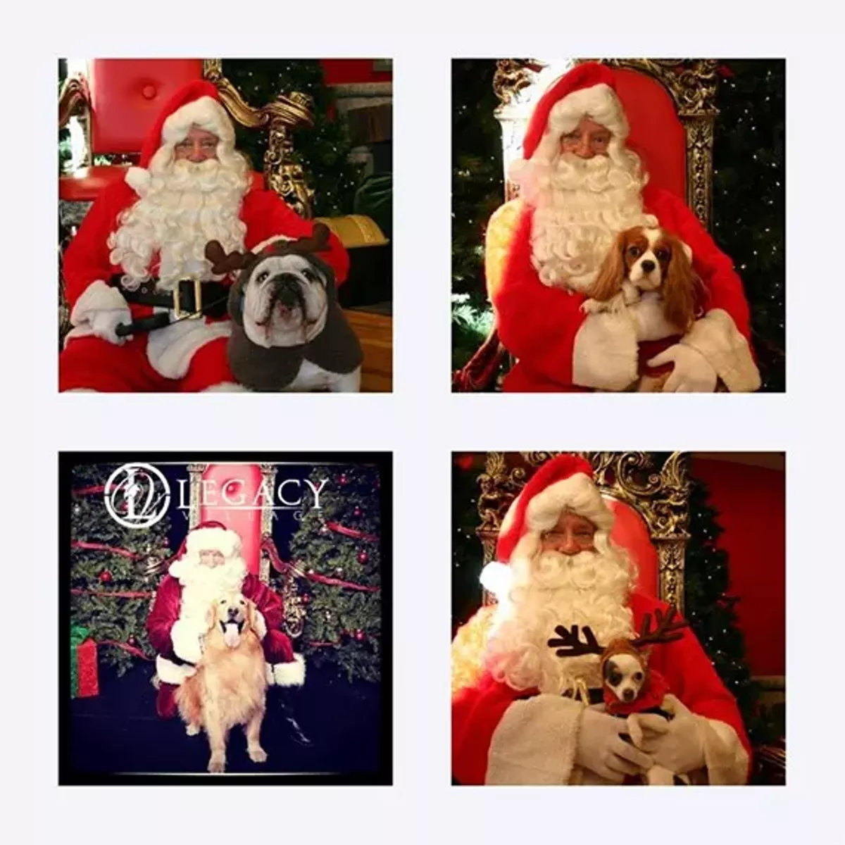 f0dd1b70_pet_photo_with_santa.webp