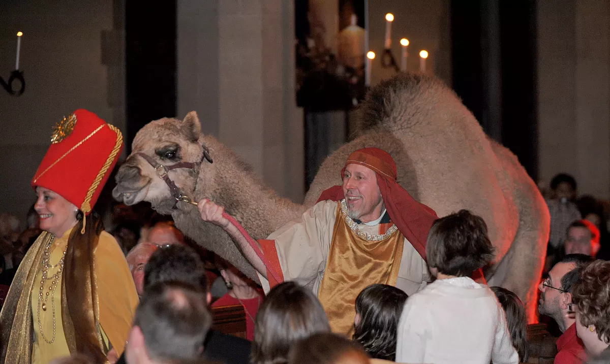 c07dba91_fbc-camel.webp