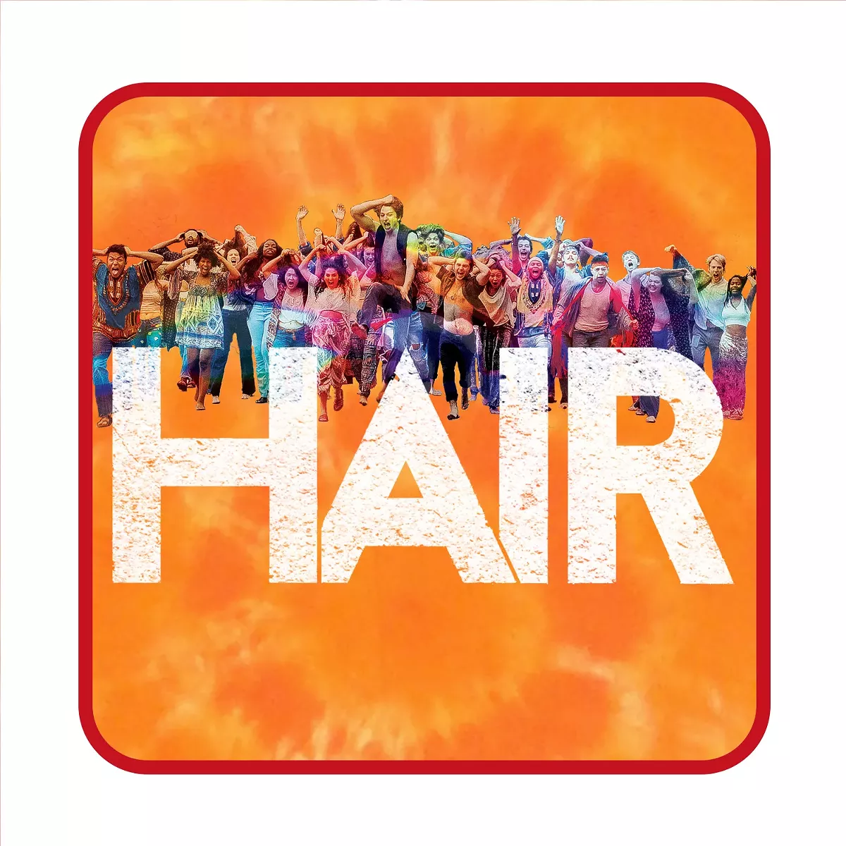 41afae8a_hair_cast_photo_square.webp