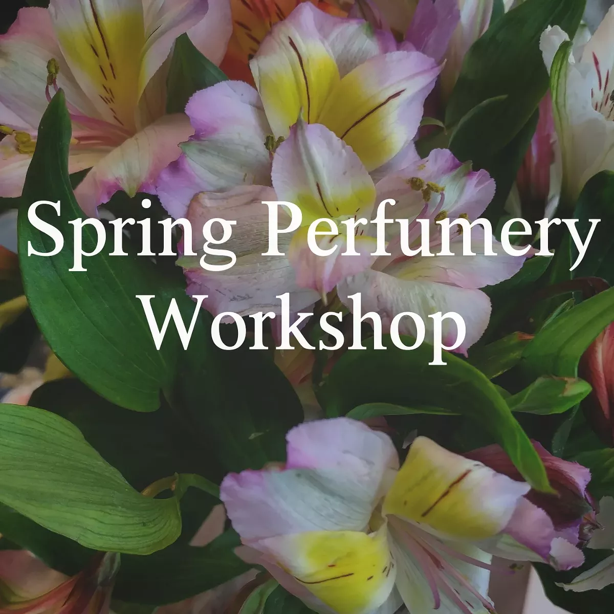 spring_perfumery_workshop.webp