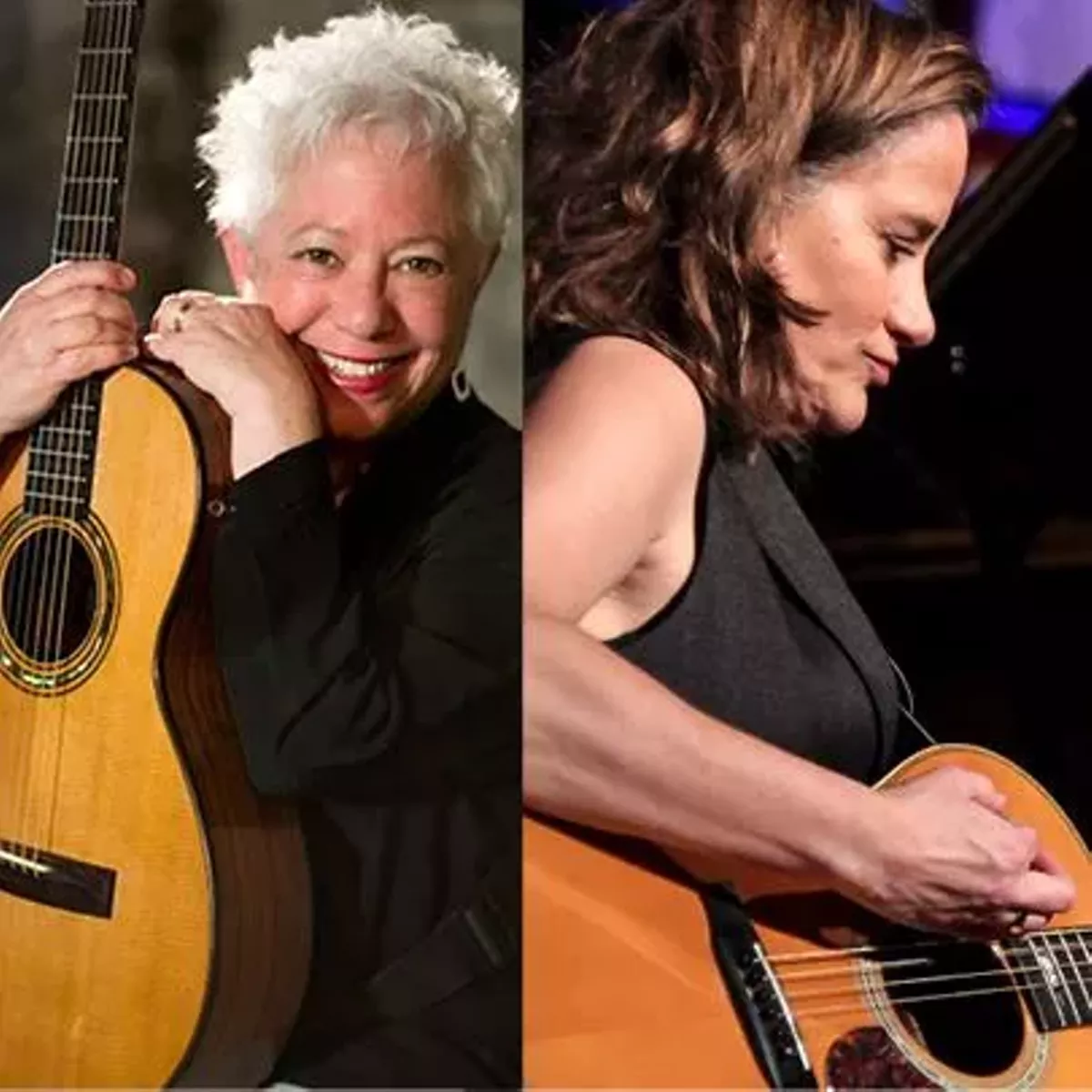 janis_ian_susan_werner.webp