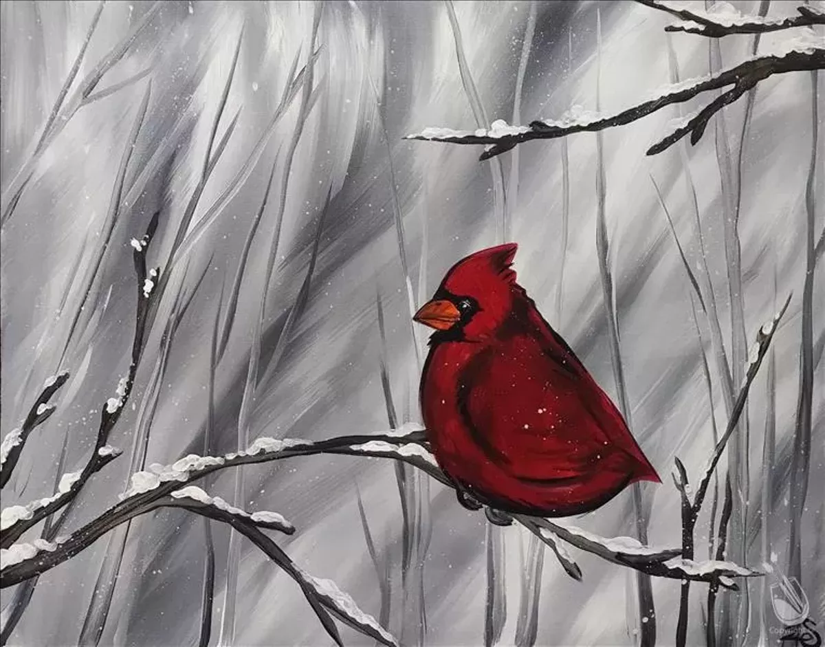 snowy-cardinal_watermark.webp