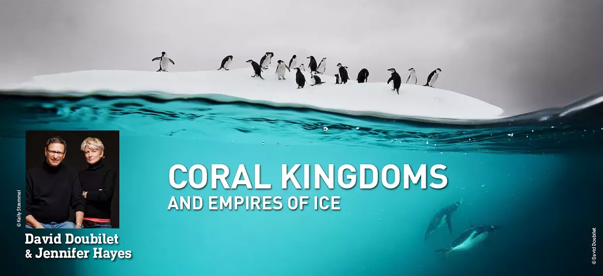 1320x605-natgeo2019-showspotlight2-a8cb12a395.webp