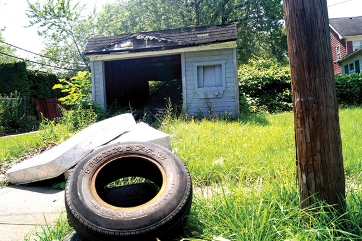 A Property Assessment Survey and the Future of Cleveland's Battered Housing Stock