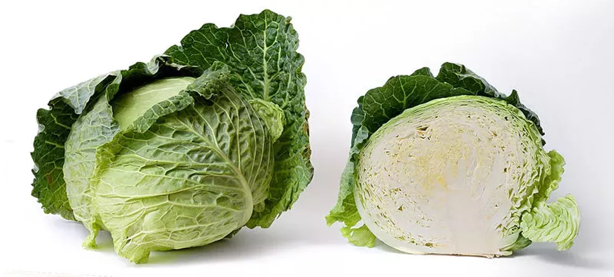 800px-cabbage_and_cross_section_on_white.webp