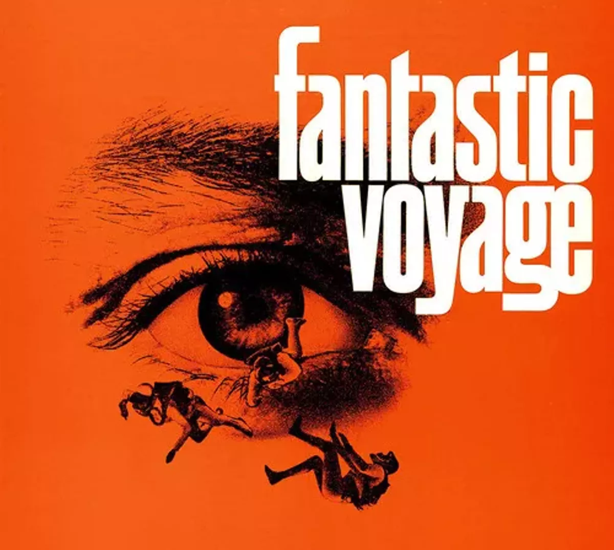 6b8b3971_fantastic_voyage.webp