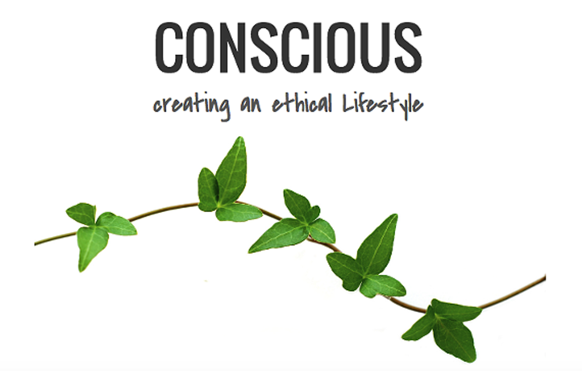 d1dac97f_image-_conscious-_creating_an_ethical_lifestyle.png