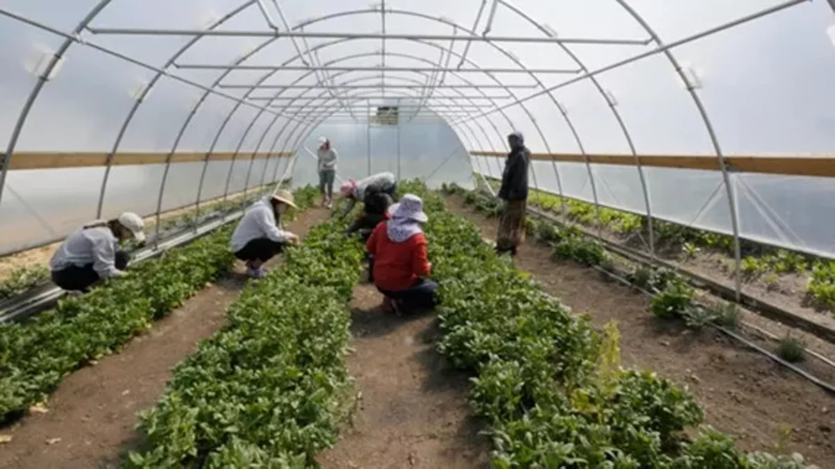 39d781c4_cleveland_growing_strong.webp